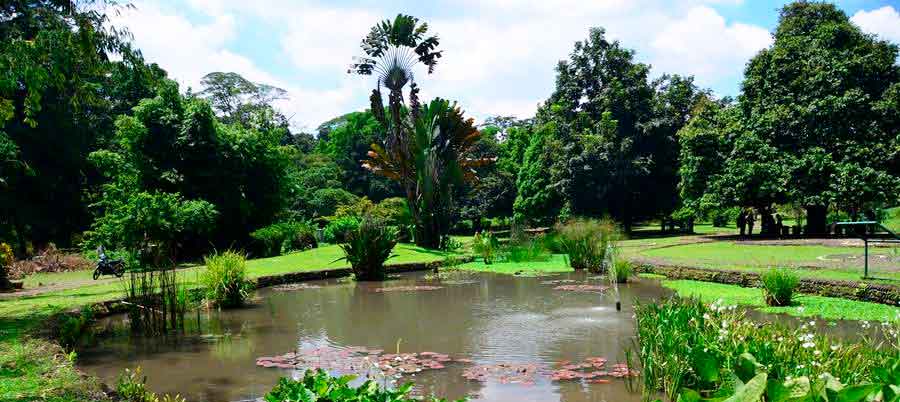 Bogor Botanical Garden Kebun Raya