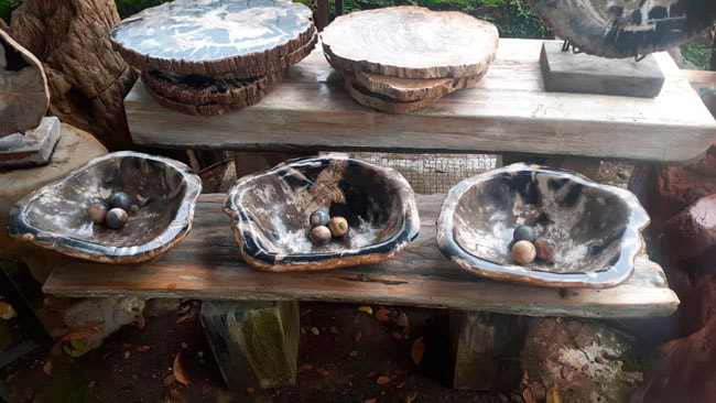 Bowl, Petrified Wood in Shop in Kemang, Jakarta