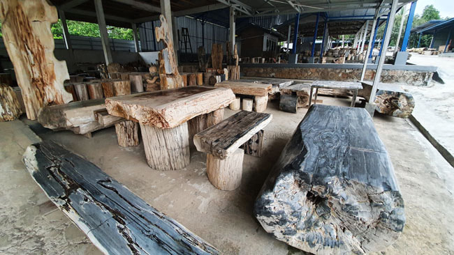 Table, Petrified Wood Indonesia, Banten Factory Shop