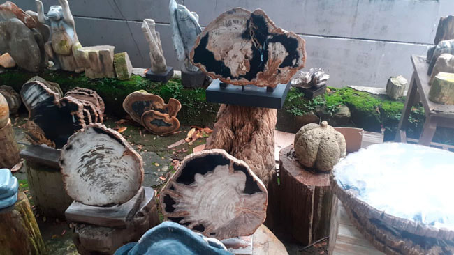 Petrified Wood in Shop in Kemang, Jakarta