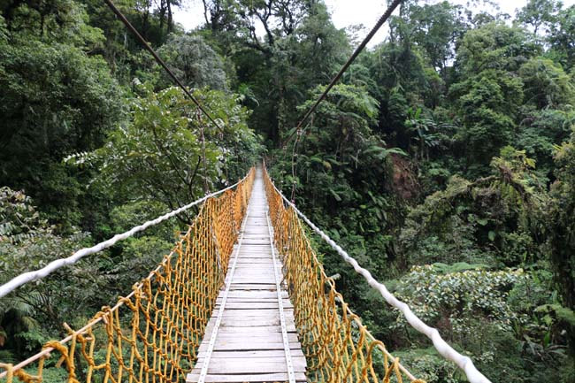 Pemandangan gunung dan jembatan gantung di Situ Gunung Sukabumi